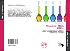 Buchcover von Glutamine—tRNA Ligase