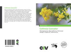 Portada del libro de Collinsia Concolor