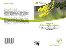 Copertina di Collinsia Corymbosa