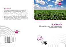 Bookcover of Bermerain