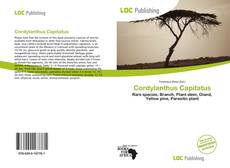 Bookcover of Cordylanthus Capitatus