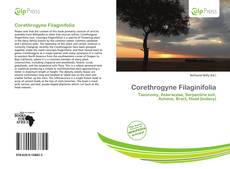 Copertina di Corethrogyne Filaginifolia