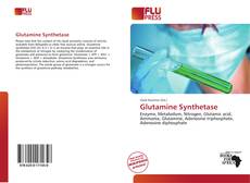 Glutamine Synthetase kitap kapağı