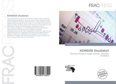 ICEHOUSE (Incubator)的封面