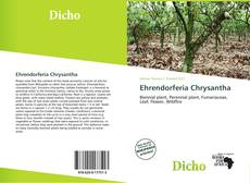 Copertina di Ehrendorferia Chrysantha
