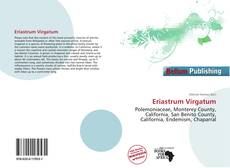 Borítókép a  Eriastrum Virgatum - hoz