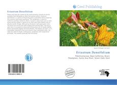 Bookcover of Eriastrum Densifolium