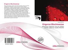 Copertina di Erigeron Blochmaniae