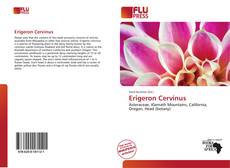 Borítókép a  Erigeron Cervinus - hoz