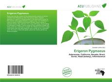 Buchcover von Erigeron Pygmaeus