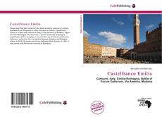 Portada del libro de Castelfranco Emilia