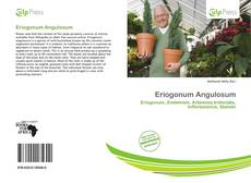 Eriogonum Angulosum kitap kapağı