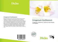 Copertina di Eriogonum Covilleanum