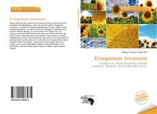 Bookcover of Eriogonum Incanum