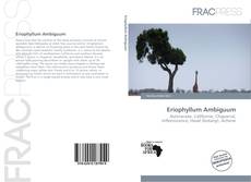 Eriophyllum Ambiguum的封面