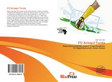 Bookcover of FC Arieşul Turda