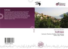 Bookcover of Codroipo