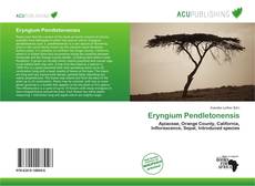 Eryngium Pendletonensis的封面