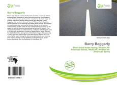 Barry Beggarly kitap kapağı