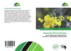 Capa do livro de Hazardia Brickellioides 