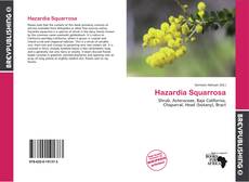 Buchcover von Hazardia Squarrosa