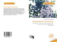 Bookcover of Helianthella Castanea