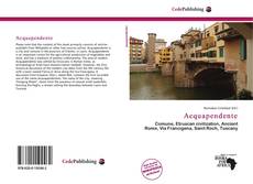 Copertina di Acquapendente