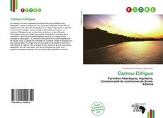 Camou-Cihigue的封面