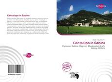 Capa do livro de Cantalupo in Sabina 