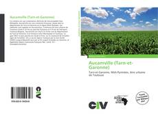 Bookcover of Aucamville (Tarn-et-Garonne)