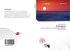 Capa do livro de Autingues 