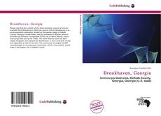 Обложка Brookhaven, Georgia