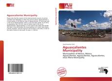 Bookcover of Aguascalientes Municipality