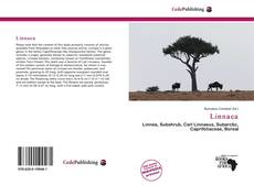 Linnaea的封面