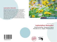 Обложка Leptosiphon Bolanderi