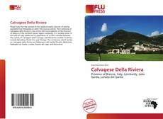 Bookcover of Calvagese Della Riviera
