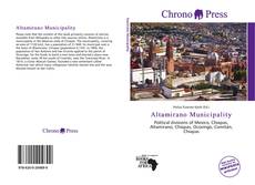 Altamirano Municipality kitap kapağı