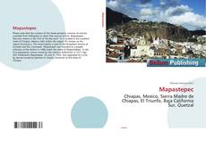 Capa do livro de Mapastepec 