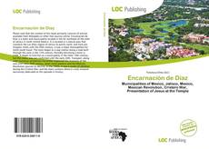 Encarnación de Díaz的封面