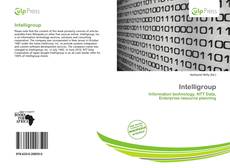 Intelligroup的封面