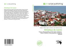 Portada del libro de Almoloya de Juárez