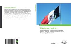 Capa do livro de Coatepec Harinas 