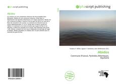 Borítókép a  Abidos - hoz