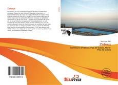 Capa do livro de Zoteux 