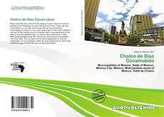 Capa do livro de Chalco de Díaz Covarrubias 
