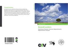 Grand-Laviers的封面