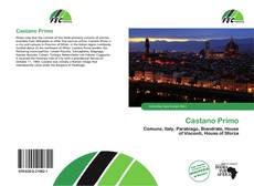 Bookcover of Castano Primo
