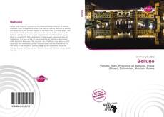 Borítókép a  Belluno - hoz