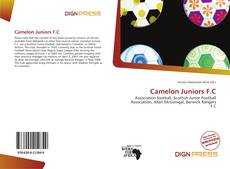 Camelon Juniors F.C的封面