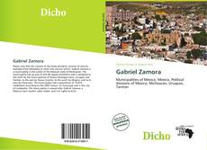 Copertina di Gabriel Zamora